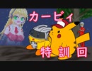 【スマブラSP】帰ってきた新ピカチュウ使い7世【VOICEROID実況】