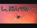 【海月の】不知鳥ランド体験版先行プレイ15パート目【不知鳥ランド体験版実況】