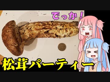 平凡料理人茜、炊ぐ「松茸づくし」