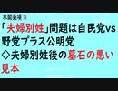 第418回『｢夫婦別姓｣問題は自民党vs野党プラス公明党◇夫婦別姓後の墓石の悪い見本』【水間条項TV会員動画】