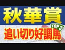 「秋華賞2021予想」追い切りと調教が絶好調だったTOP3を公開！！