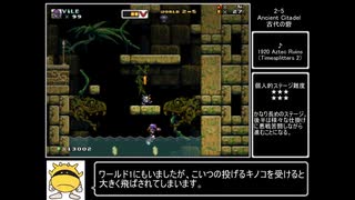【MKF】MashroomKingdomFusion　その12