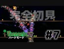 【女性実況】卒論に追われた女子大生たちがハードな世界に逃避する#7【terraria テラリア ハードモード】