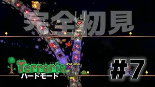 【女性実況】卒論に追われた女子大生たちがハードな世界に逃避する#7【terraria テラリア ハードモード】