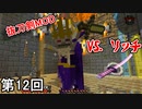 【Minecraft】 メイジタワー打ちこわし カチコミ侍  第12回【実況】