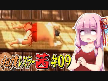 【SUMOMAN】相撲レスラー茜 #09 風雲！NINJA城編2【VOICEROID・琴葉茜実況】