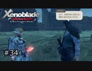 広大な世界での復讐と創世の物語【Xenoblade実況】#34