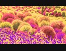 モフ・モフ by 2021.Oct.