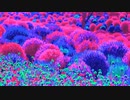 モフ・モフ by 2021.Oct.