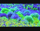 モフ・モフ by 2021.Oct.