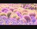 モフ・モフ by 2021.Oct.