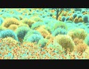 モフ・モフ by 2021.Oct.