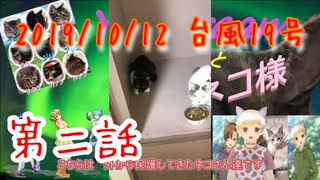 ネコ様達の日常 2021 10 15