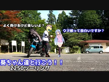 葵ちゃん達と行こう！！第7話「熊さんと龍」