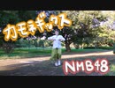 【しーたら】カモネギックス/NMB48