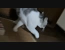 ちょっと報告