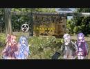 【VOICEROID車載】ゆかりさんお散歩行きません？【篠島・日間賀島】
