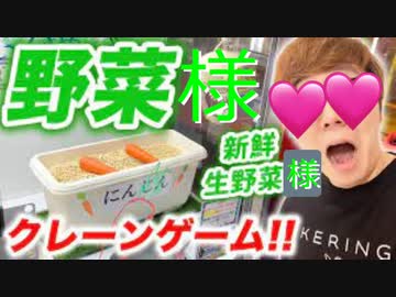 新鮮生野菜様がとれるクレーンゲームでカレーの具材全部取れるまで終われませんwww