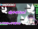 伝書鳩に素晴らしい対応をするトワ様【ホロライブ切り抜き】