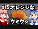 【琴葉姉妹の磯遊び】#15オレンジなウミウシ【VOICEROID解説】
