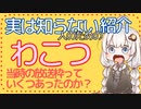 よく見るけど実は知らない人のためのニコニココメント紹介 「わこつ」