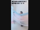 堀江由衣の天使のたまご 第994回(2021.10.15)