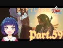 まさかの戦線離脱！？いいえ、ただの迷子です！！【ゼルダの伝説 スカイウォードソードHD】Part５９