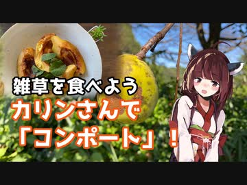 【思い切って野草を食べてみよう】#38 カリンさんで「コンポート！」