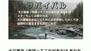 #震災サバイバル　大災害後 1年経ってこれがあれば あなたは スターもしくは殺される　大災害後生き延びるために必ず所有しておくべき 超便利で重宝するものはこれだ　 　　　　　　　　　　　