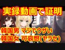 ゆっくり雑談 428回目(2021/10/16) 1989年6月4日は天安門事件の日 済州島四・三事件 保導連盟事件 ライダイハン コピノ コレコレア