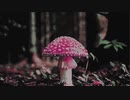 mushroom @2021.oct.