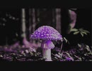 mushroom @2021.oct.