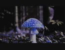 mushroom @2021.oct.