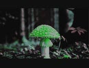 mushroom @2021.oct.