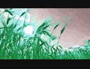 miscanthus @2021.oct.