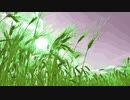 miscanthus @2021.oct.