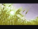 miscanthus @2021.oct.
