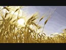 miscanthus @2021.oct.