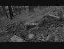 冬の意味／ N氏の冬支度 feat.初音ミク