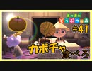風邪菌？カボチャを食べればなんとかなるだろ【あつまれどうぶつの森】#41