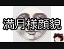 【ゆっくり朗読】ゆっくりさんと不思議な病気 その429