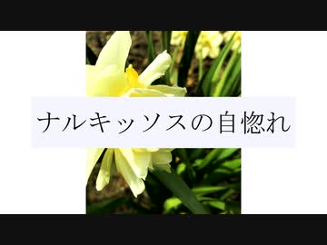 ナルキッソスの自惚れ/あじさい　feat.初音ミク