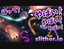【実況】決めた。オレ世界一位のミミズになるわ。【Slither.io/スリザリオ】