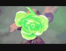 Autumn Albums @2021.Oct.