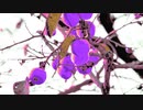 Autumn Albums @2021.Oct.