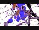 Autumn Albums @2021.Oct.