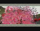 【大神 絶景版】第玖幕　花を咲かすイッヌ【ゲーム実況】