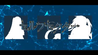 【初音ミク】セルフセクター【オリジナル】