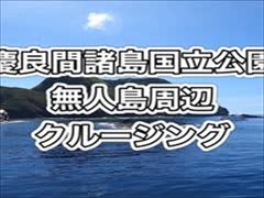 ネムリブカ・アカヒメジ・ノコギリ8.31