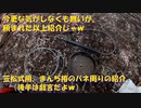（戯言あり、わな紹介？回）変態忍者の、有害鳥獣駆除従事活動記・その１７６